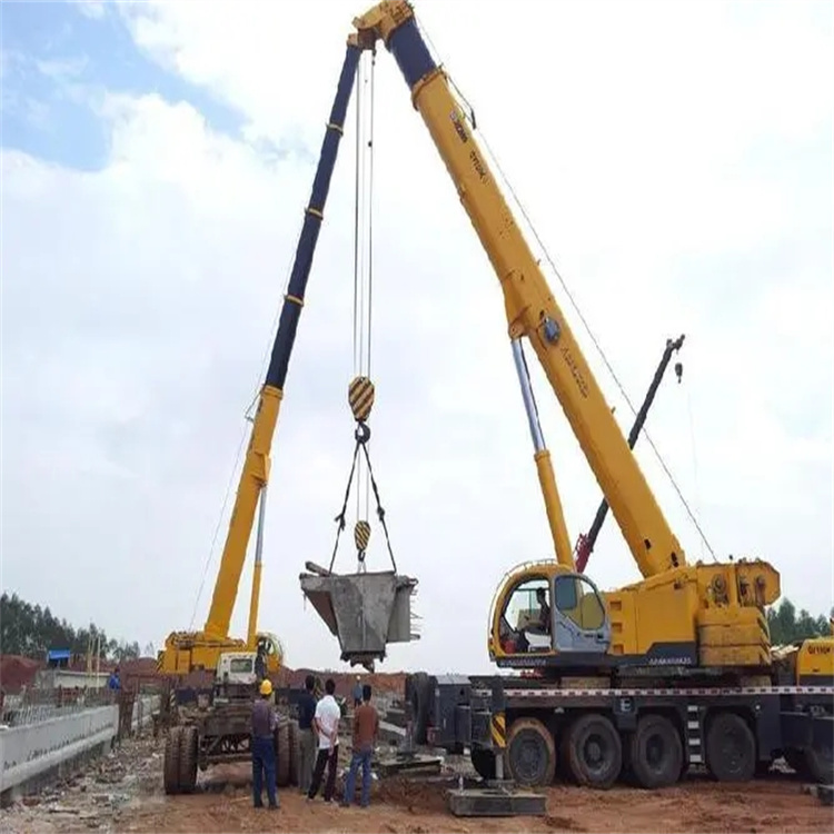 乐清小型吊机出租电话|厂房设备吊装方案|24小时服务覆盖